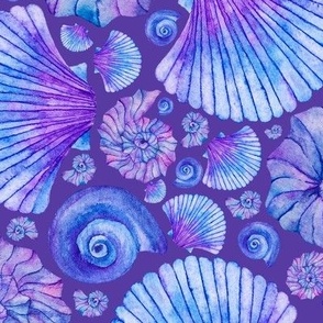 Sea Shells on the Beach | Blue Purple Lavender Color Palette