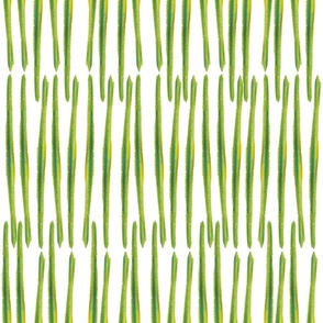 Allium Stems White M