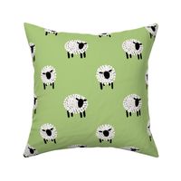 How many sheep can you count-soft green