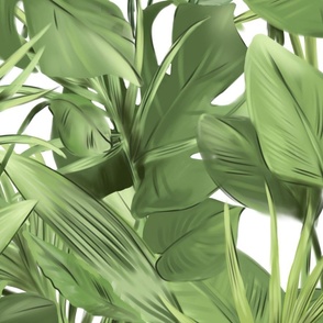 Tropical leaves on white