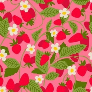 Wild Strawberries - Pink