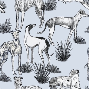 Greyhound blue | Michelle Mathis