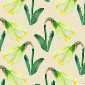 Delightful Daffodils | Watercolor | Ivory | Large Scale