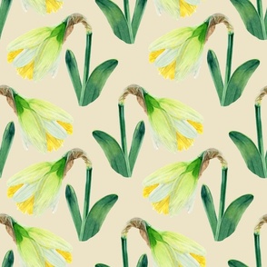 Delightful Daffodils | Watercolor | Ivory | Medium Scale