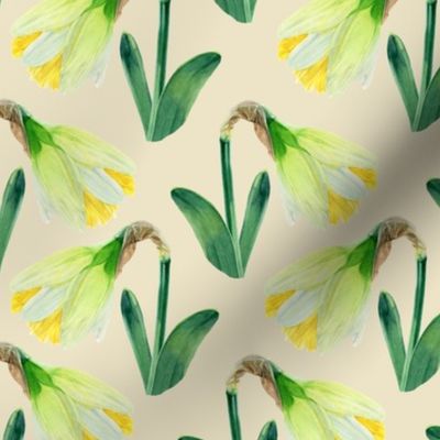 Delightful Daffodils | Watercolor | Ivory | Small Scale