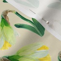 Delightful Daffodils | Watercolor | Ivory | Small Scale