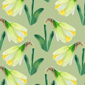 Delightful Daffodils | Watercolor | Tea Green | Large Scale