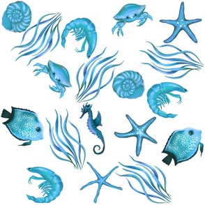 Blue sea stars