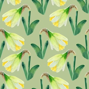 Delightful Daffodils | Watercolor | Tea Green | Medium Scale