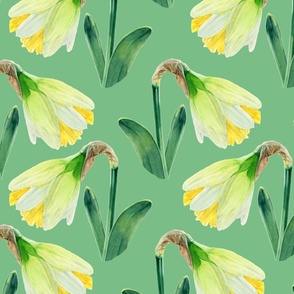 Delightful Daffodils | Watercolor | Lime Green | Large Scale