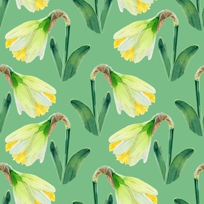 Delightful Daffodils | Watercolor | Lime Green | Medium Scale