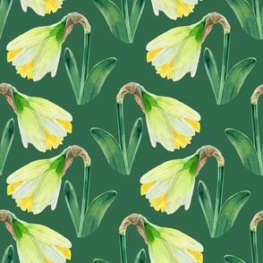 Delightful Daffodils | Watercolor | Emerald Green | Medium Scale