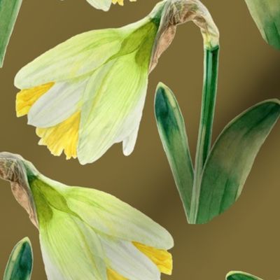 Delightful Daffodils | Watercolor | Moss | Medium Scale