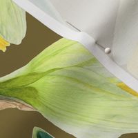 Delightful Daffodils | Watercolor | Moss | Medium Scale