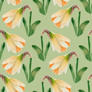 Watercolor Daffodils | Tea Green |  Medium Scale 