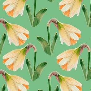 Watercolor Daffodils | Lime Green | Large Scale