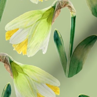 Delightful Daffodils | Watercolor | Medium Scale