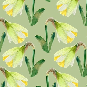 Delightful Daffodils | Large Scale