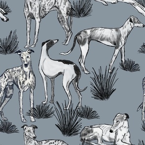 Greyhound 89969f | Michelle Mathis