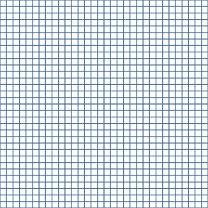 Graph Paper | Lg Bright Blue