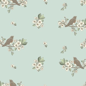 Robin and Blossom mint background