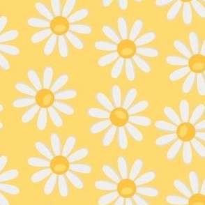 off white daisies on yellow background