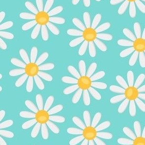 Off white daisies on a blue background