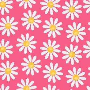 off white daisies on a dark pink background