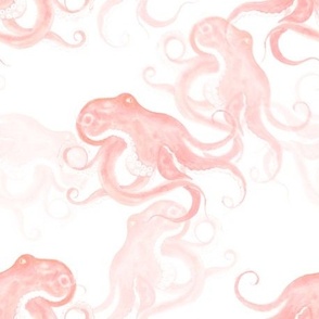 Coral Watercolor Octopus on White Shadowed