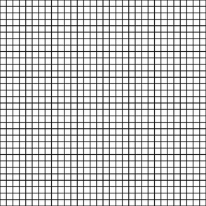 Graph Paper | Lg Black on White