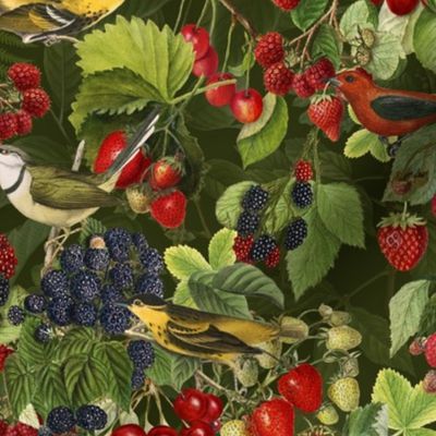 Fresh Summer Fruit And Bird Pattern On Dark Green Smaller Scale