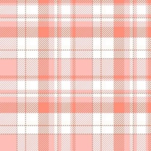 Large Peach Pink and White Check Plaid