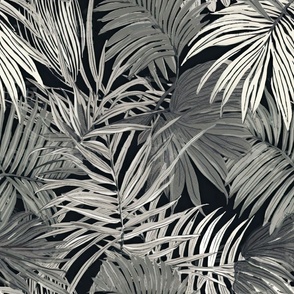 Hothause tropical palm leaves