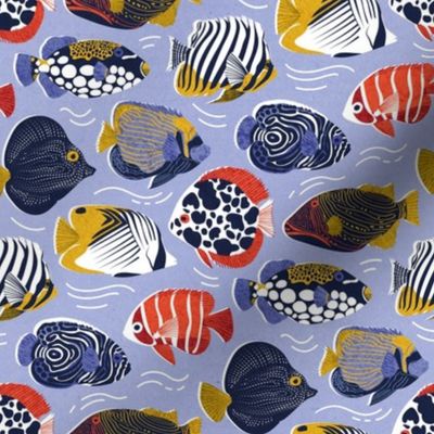 Small scale // Fin-tastic fishes // echo blue background neon orange red yellow and electric blue quirky patterned angelfishes and other fishes 