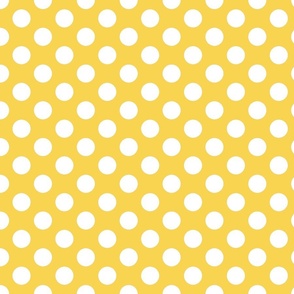 Polka dot (pattern clash) Y