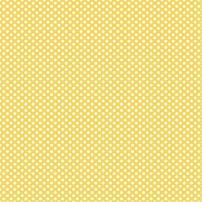 Polka dot (pattern clash) Y25