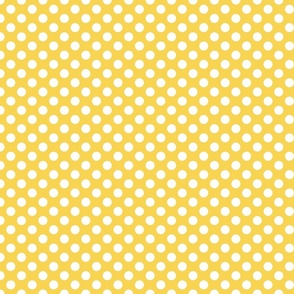 Polka dot (pattern clash) Y 50