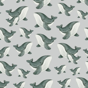 whale grey