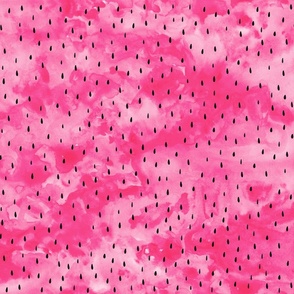 (large scale) watermelon slices coordinate  - pink watercolor with seeds - C23