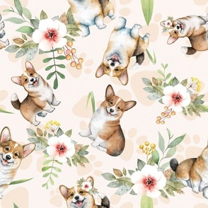 corgi and flowers