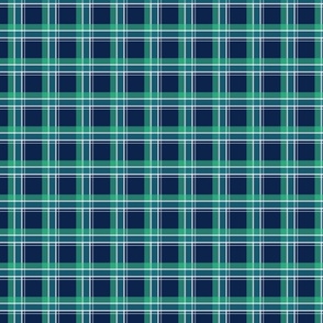 Green and Blue Plaid With a Hint of White