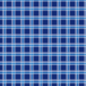 Blue Plaid With a Hint of White