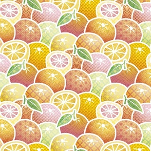 Textured Citrus Fruits - Traditional Japanese Patterns on Oranges, Limes and Lemons - Small Scale