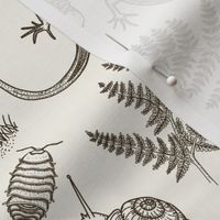 Small Scale Brown - Forest Flora & Fauna Toile