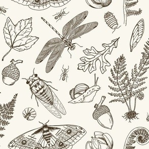 Small Scale Brown - Forest Flora & Fauna Toile
