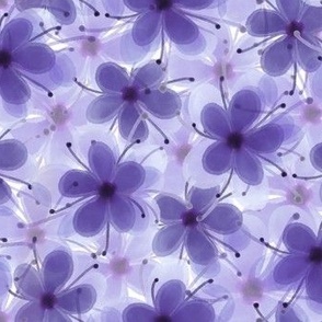 Bluish Purple Blossom