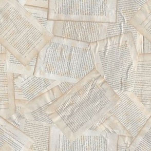 Victorian Book Pages 2.0