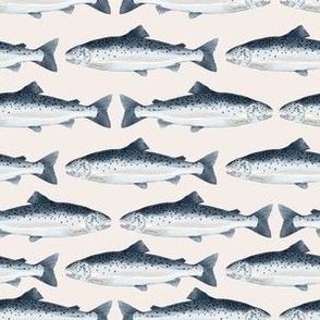 Salmon Fish Swimming on Pale Beige Background