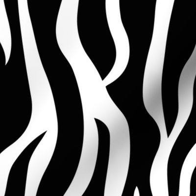 ZEBRA bw, big scale zebra stripes