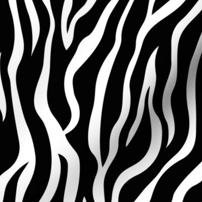 ZEBRA bw, middle scale zebra stripes